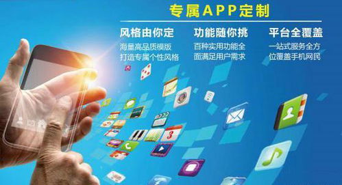 安徽APP開發 如何衡量APP軟件定制開發的質量